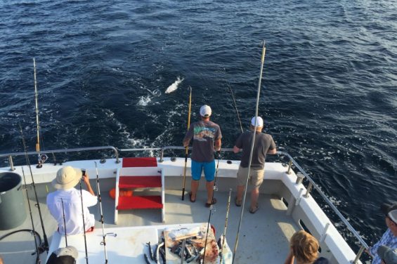 Destin 6 HR Private Fishing Charter In Destin