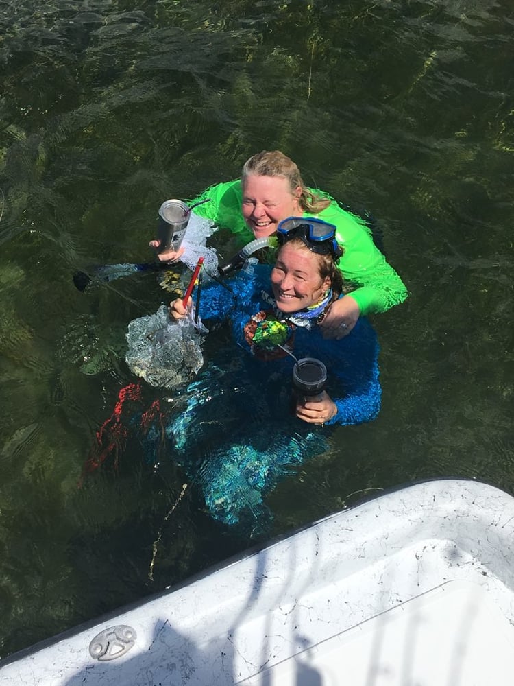 Scallop Hunting! In Crystal River