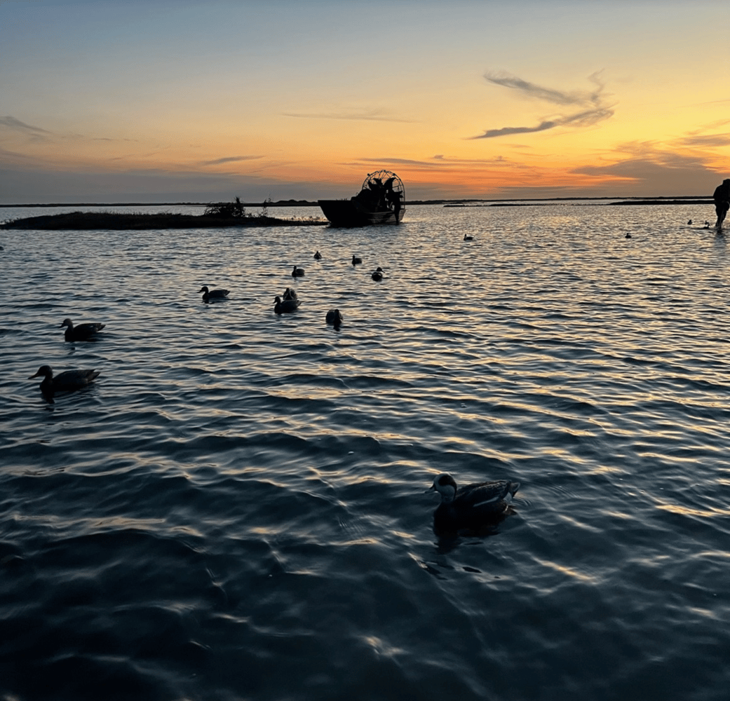 Ultimate Duck Quest In Port O'Connor