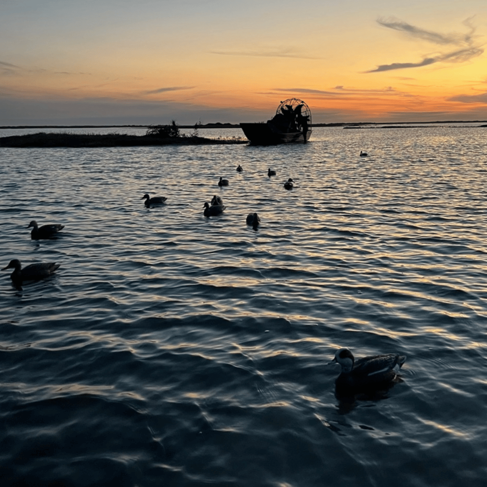 Early Teal Season In Port O'Connor