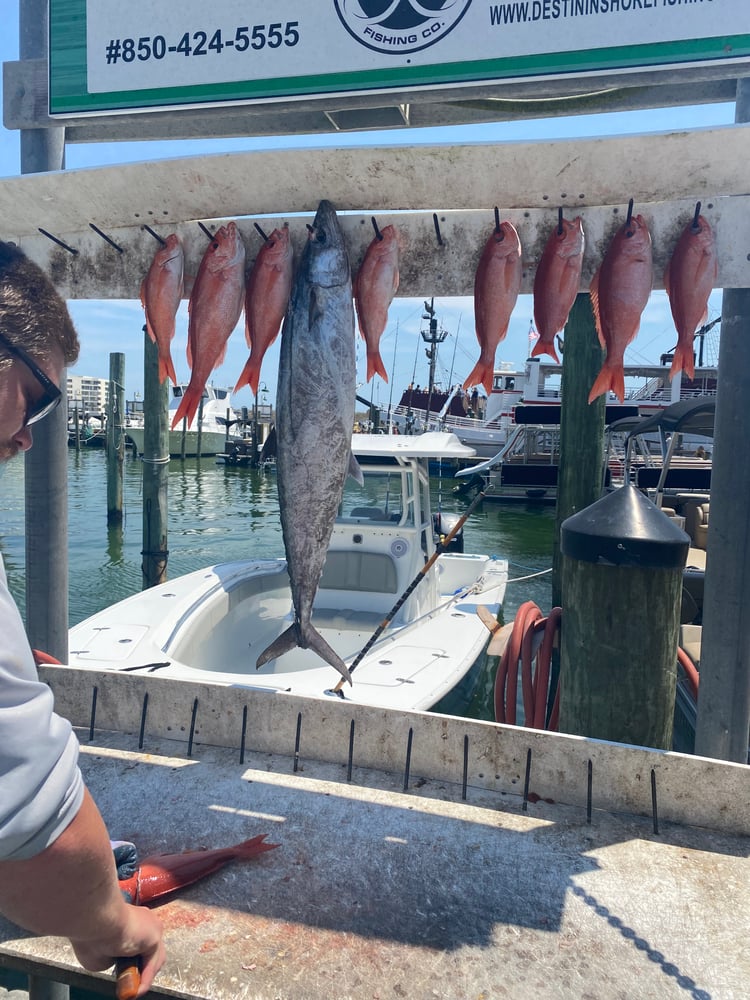 Half Day - 31’ Cape Horn In Destin