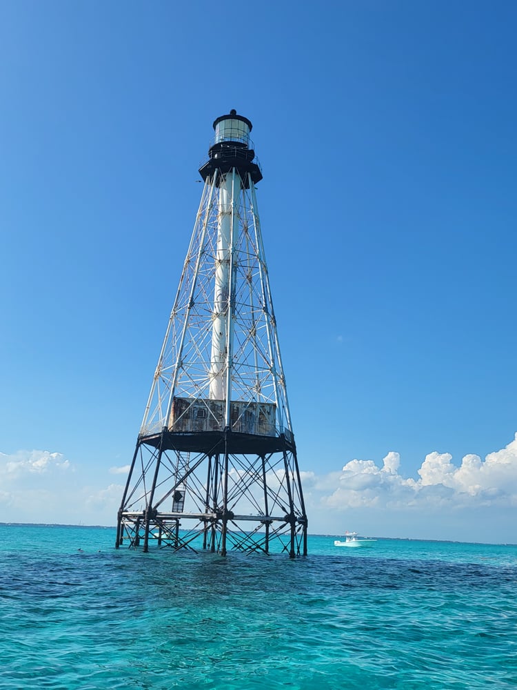 Florida Fishin' Frenzy In Tavernier