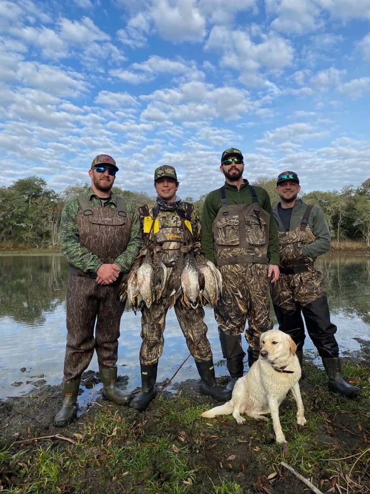 Duck Hunts In Katy