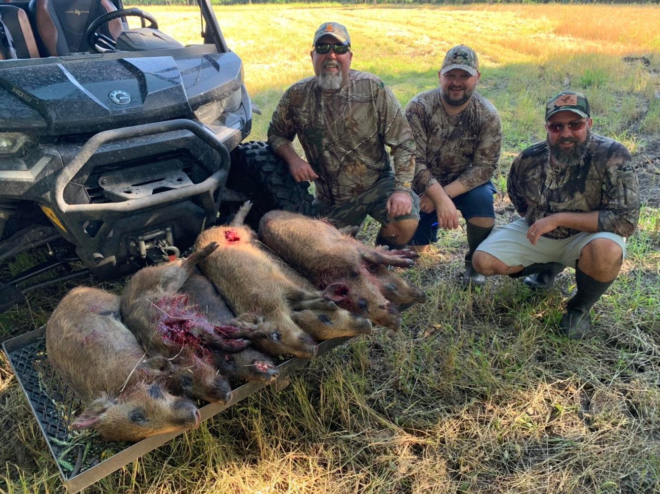 Texas Thermal Hog Hunt In Palestine