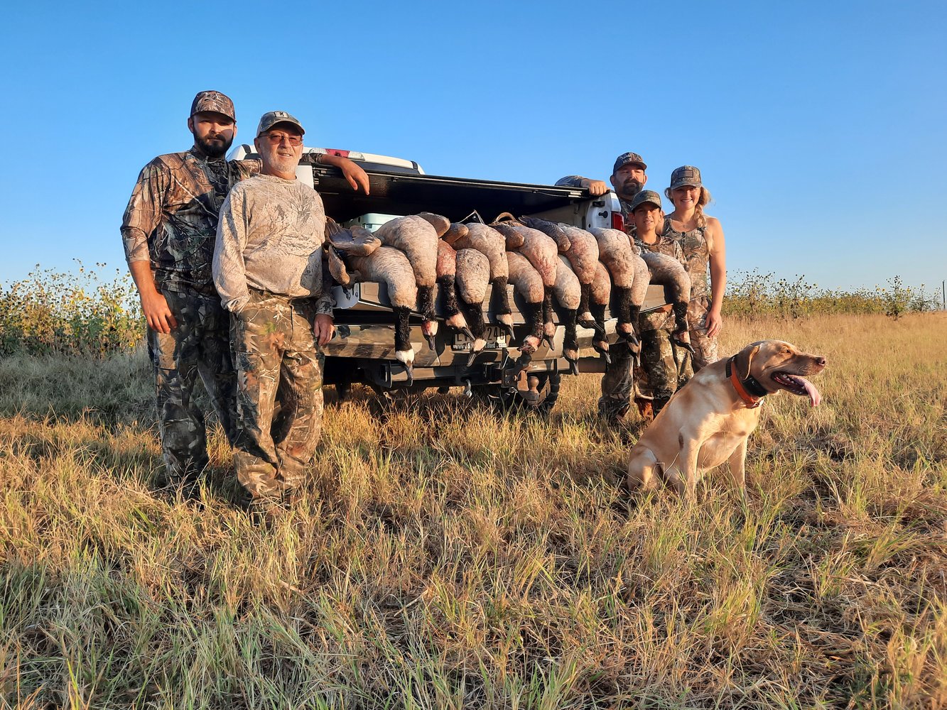 Texas Hog And Duck Smack Down!!! In Nocona