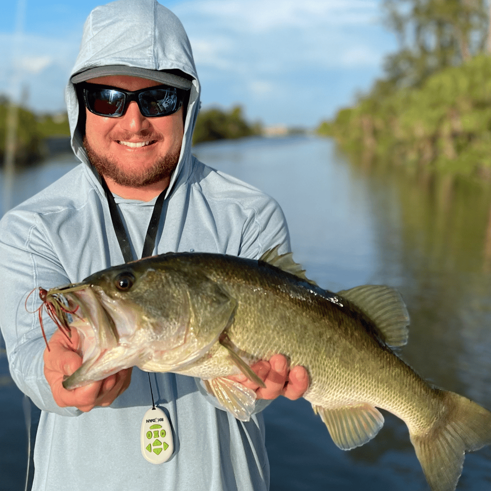 Bass/Sunset Cruise In Cape Coral