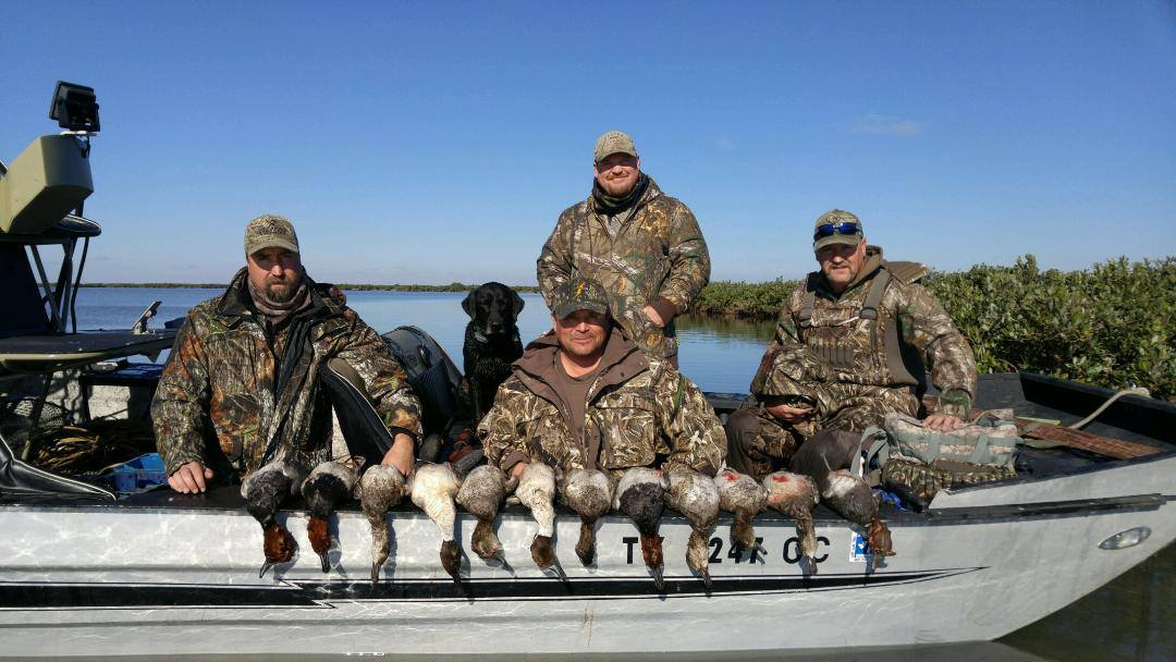 Coastal Duck Delight In Rockport