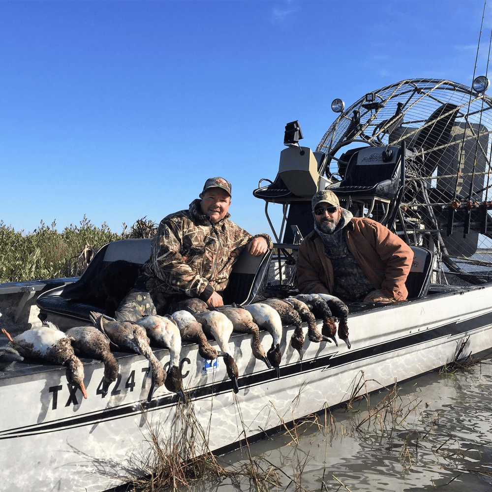 Coastal Duck Delight In Rockport