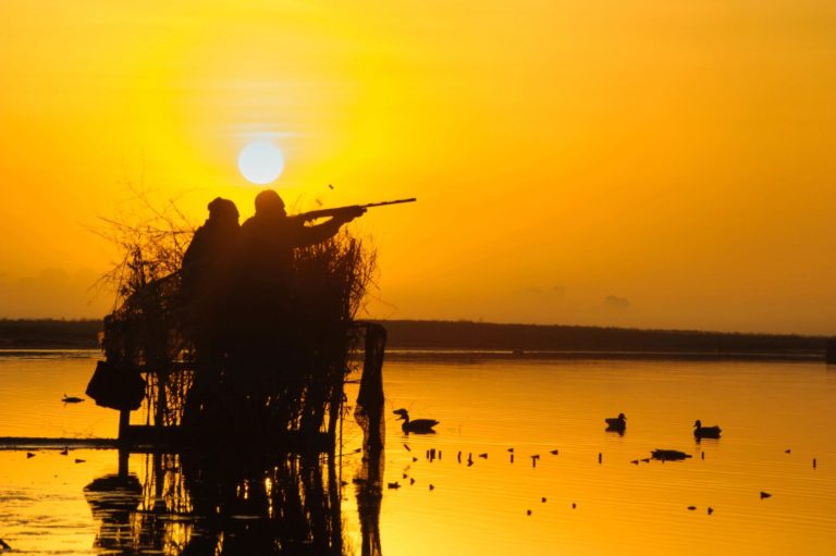 Austin Area Duck Hunts In Nolanville