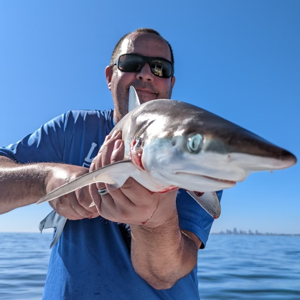 Tampa Bay Sharkfest - 25’ Sportsman In Ruskin