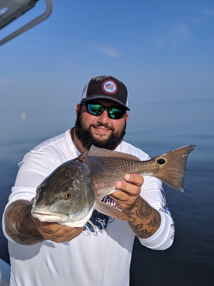 Tampa Bay Inshore Fishing In Ruskin