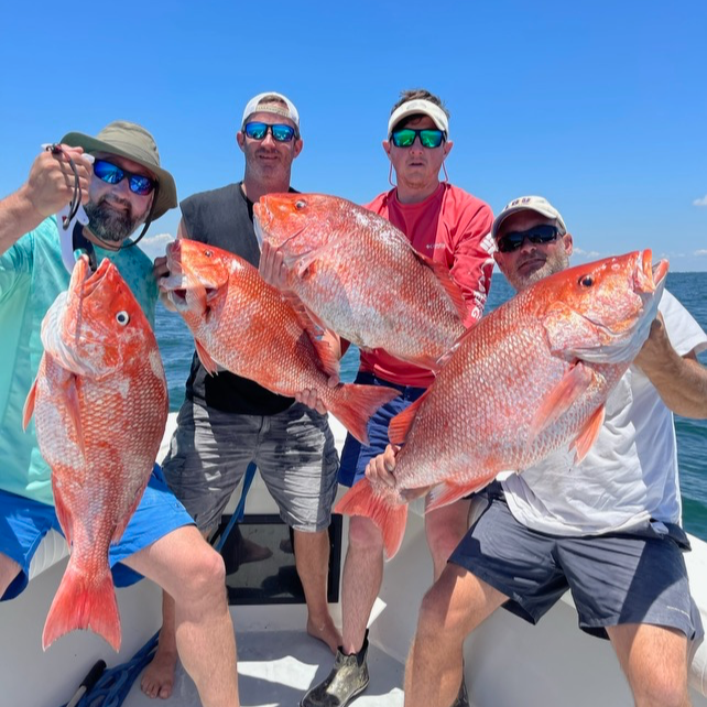 Snapper 6 Hr Am In Gulf Shores