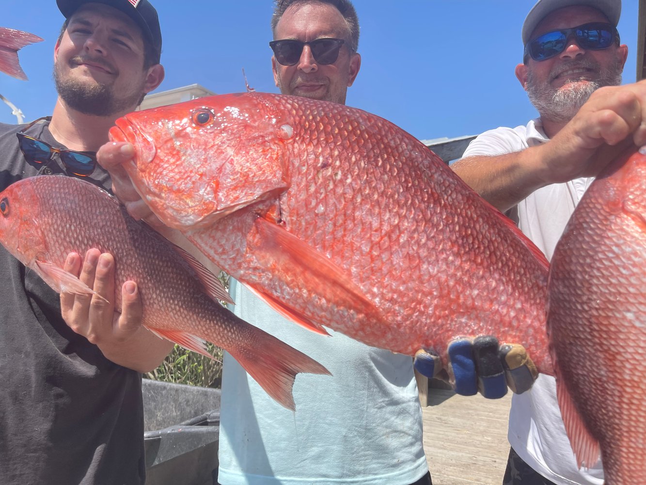 Snapper 6 Hr Am In Gulf Shores