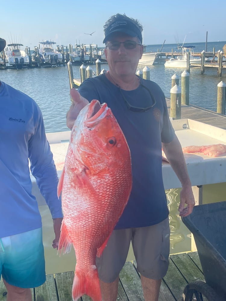 Snapper 6 Hr Am In Gulf Shores