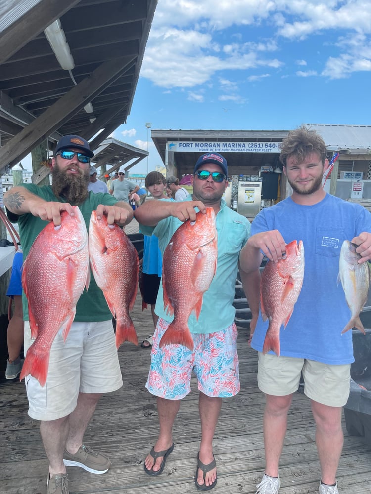 Snapper 6 Hr Am In Gulf Shores