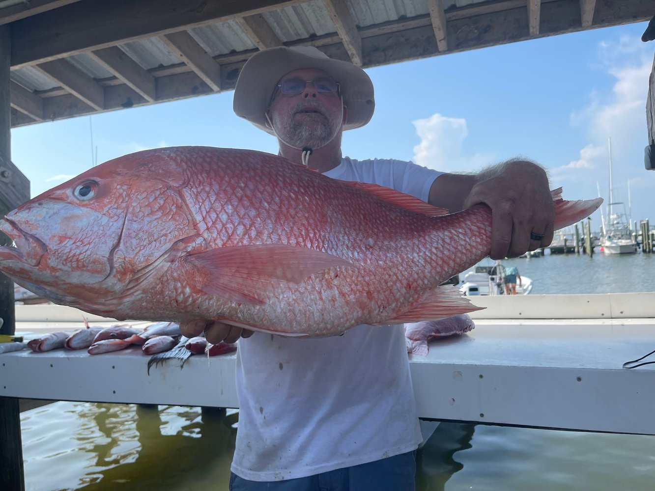 Snapper 6 Hr Am In Gulf Shores