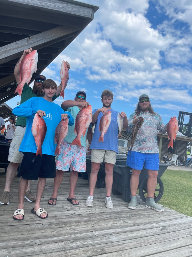 Snapper 6 Hr Am In Gulf Shores