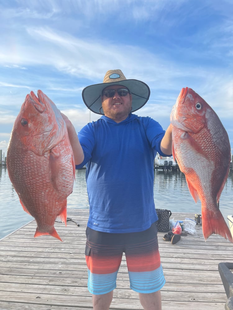 Snapper 6 Hr Am In Gulf Shores