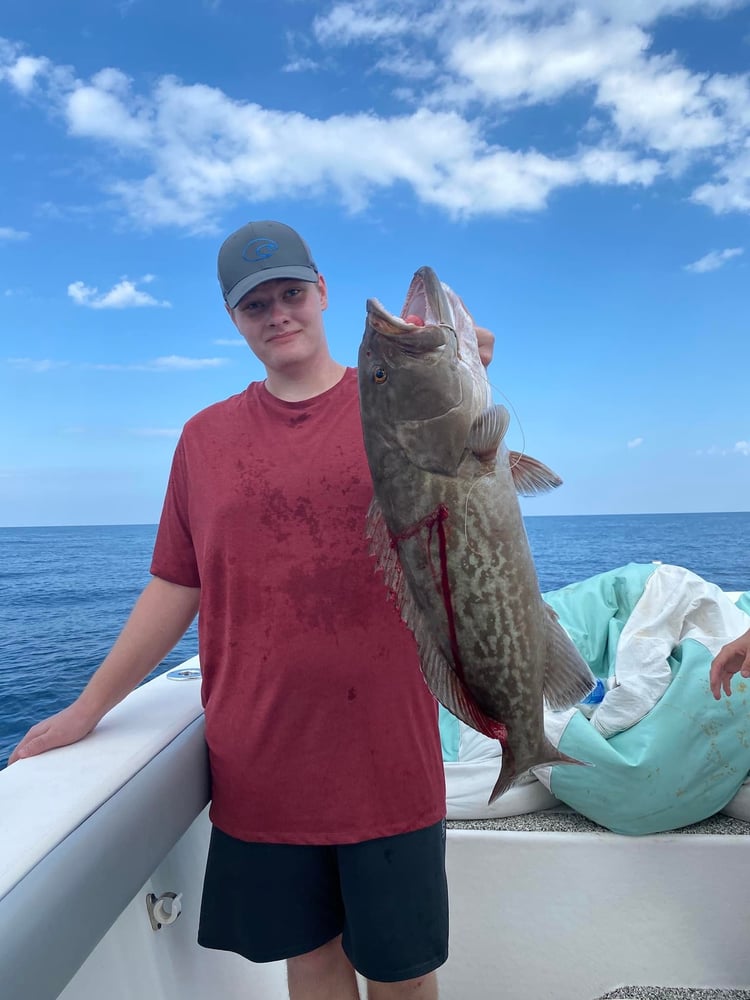 Dauphin Island Offshore Expedition In Dauphin Island