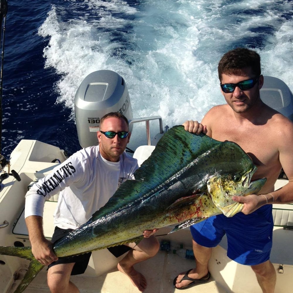 Dauphin Island Offshore Expedition In Dauphin Island