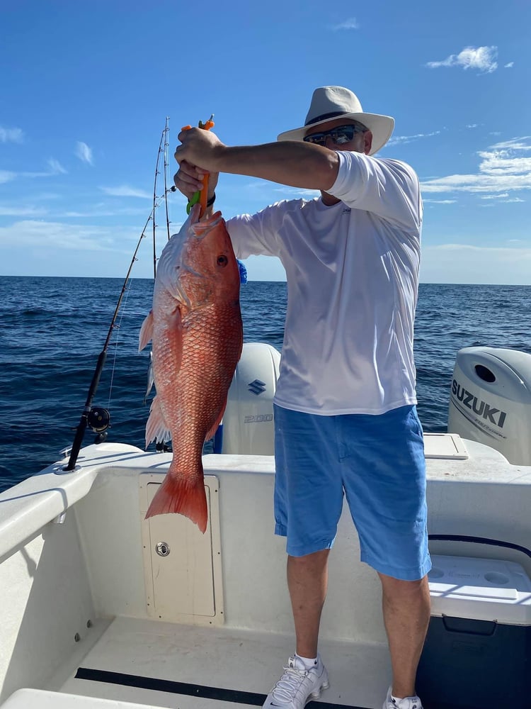 Dauphin Island Offshore Expedition In Dauphin Island