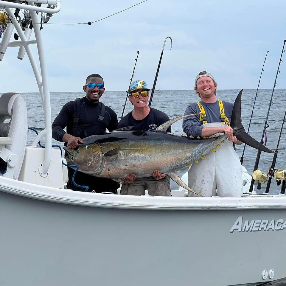 Dauphin Island Offshore Expedition In Dauphin Island