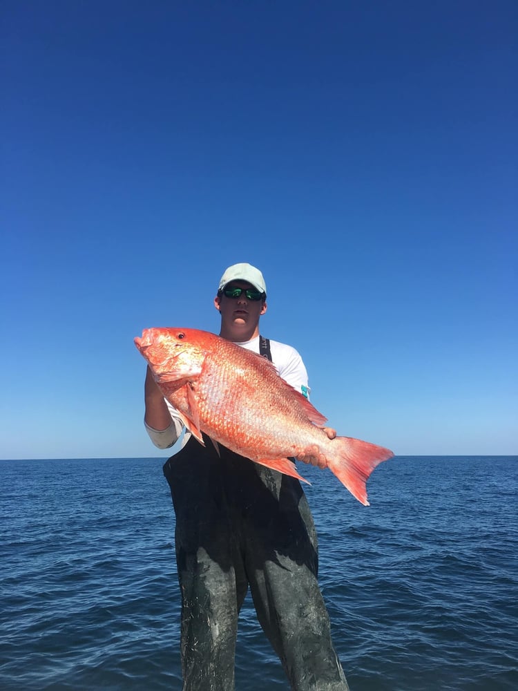 Dauphin Island Offshore Expedition In Dauphin Island