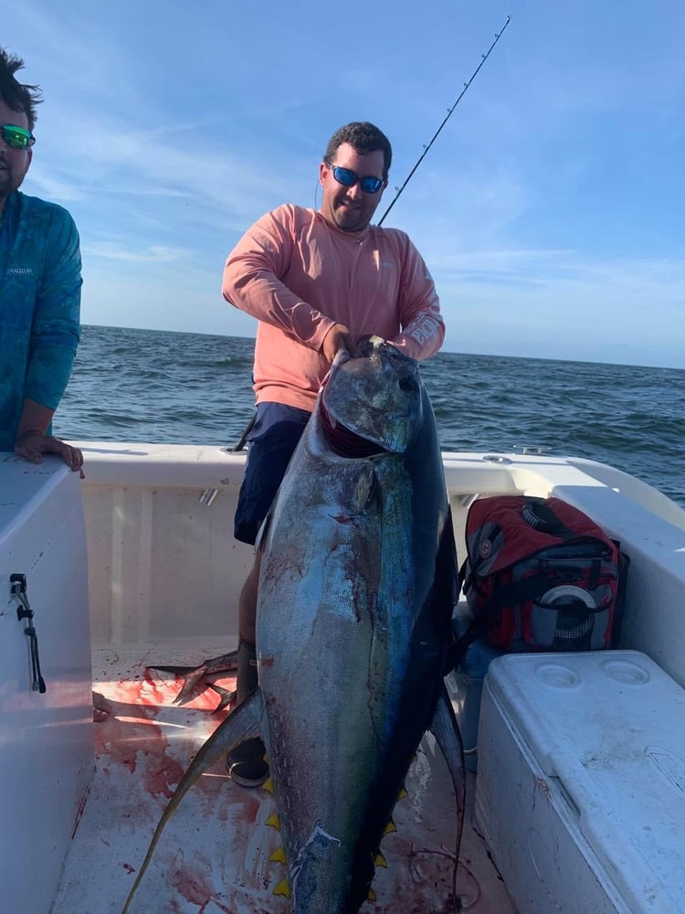 Dauphin Island Offshore Expedition In Dauphin Island