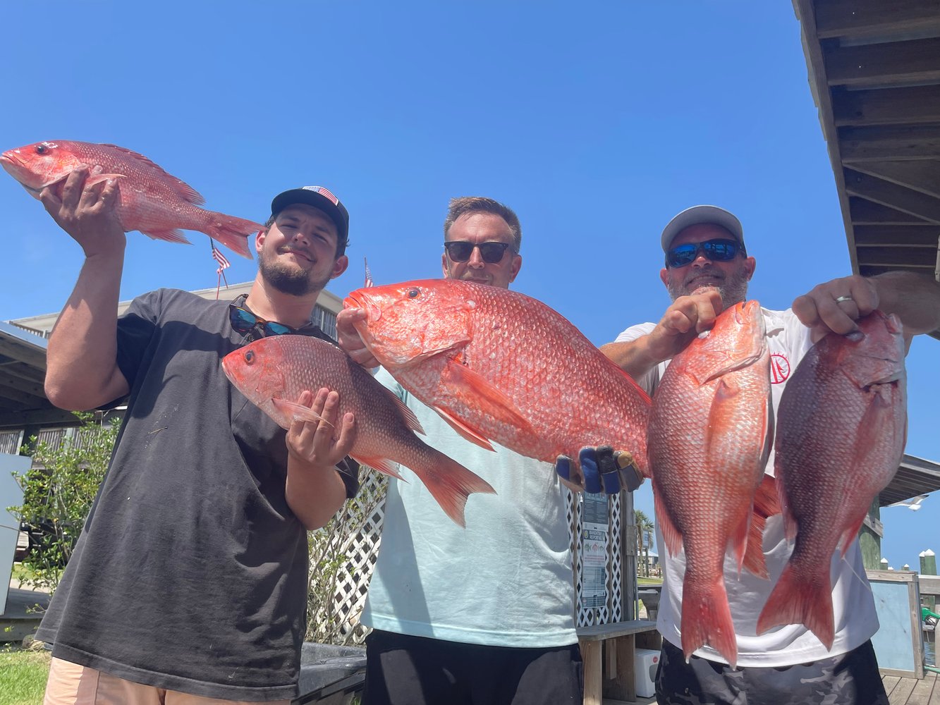 Snapper 6 Hr PM In Gulf Shores