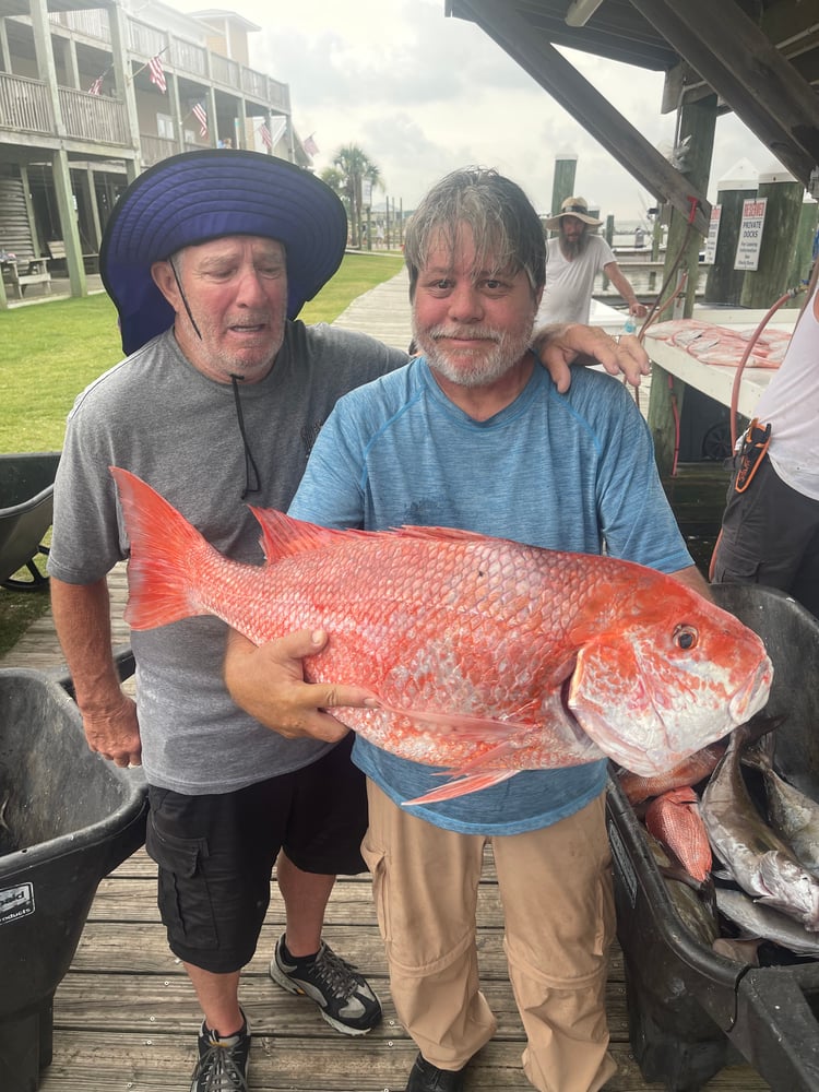 Snapper 6 Hr PM In Gulf Shores