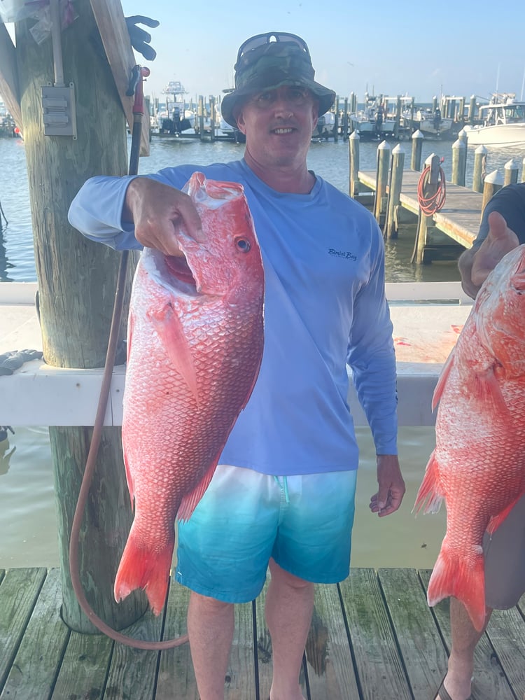 Snapper 6 Hr PM In Gulf Shores