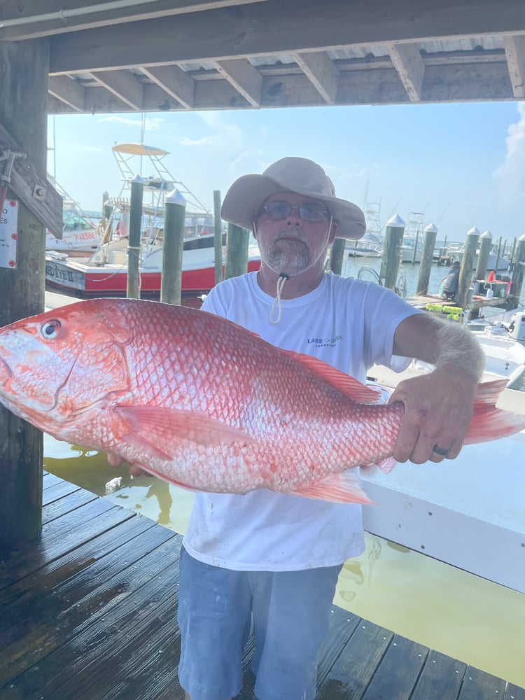 Snapper 6 Hr PM In Gulf Shores