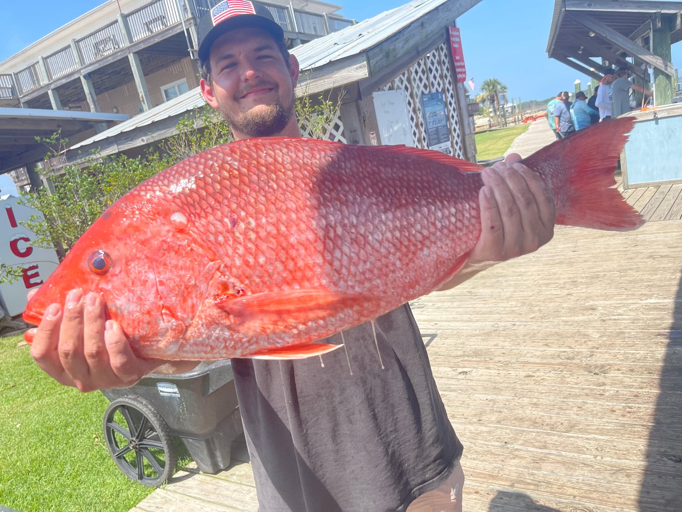 Snapper 6 Hr PM In Gulf Shores