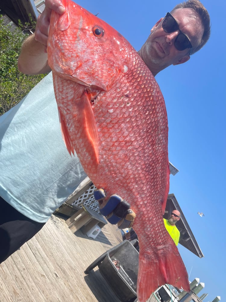 Snapper 6 Hr PM In Gulf Shores