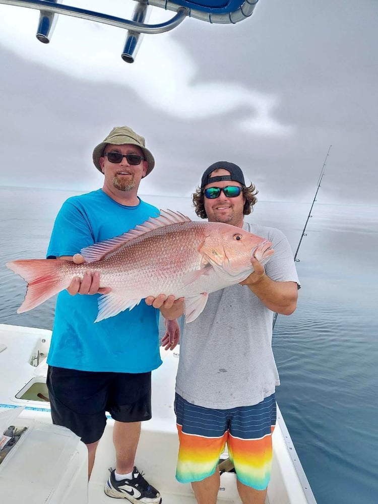 Half Day Deep Sea Trip In Panama City Beach