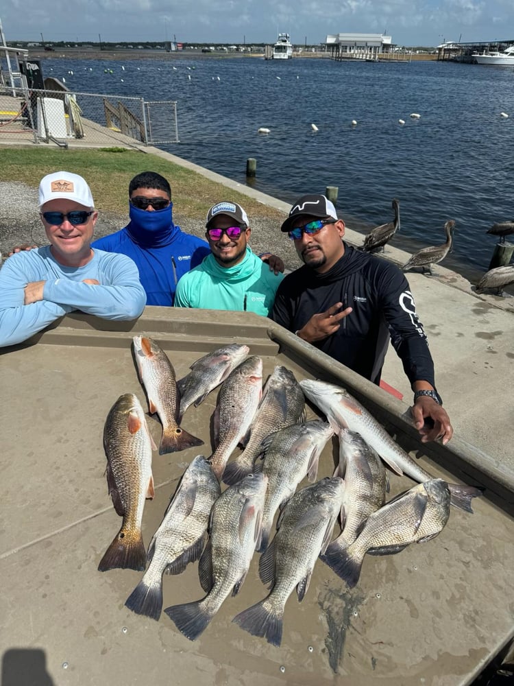 Rockport Fish Frenzy In Rockport