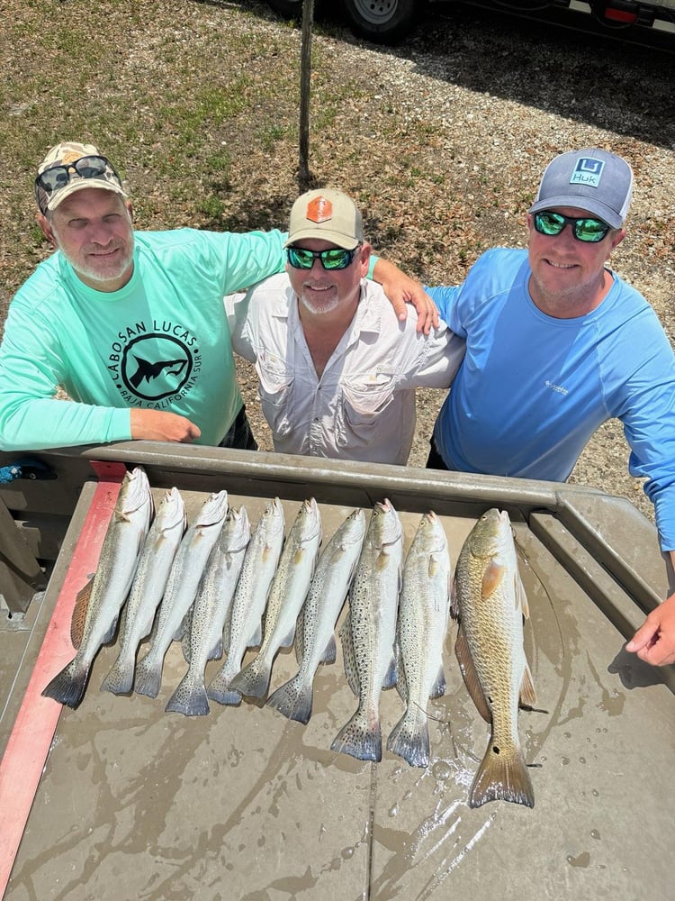 Rockport Fish Frenzy In Rockport