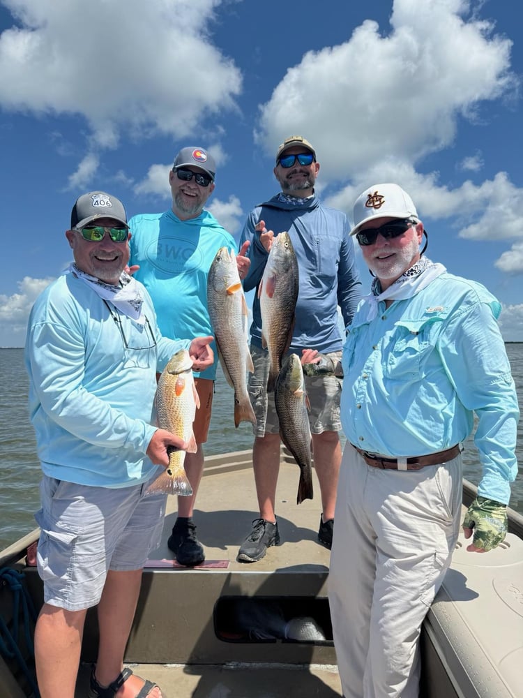 Rockport Fish Frenzy In Rockport