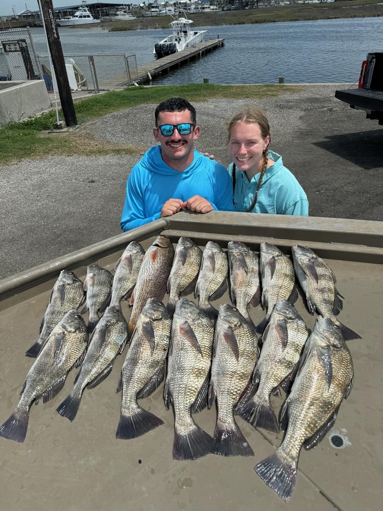 Rockport Fish Frenzy In Rockport