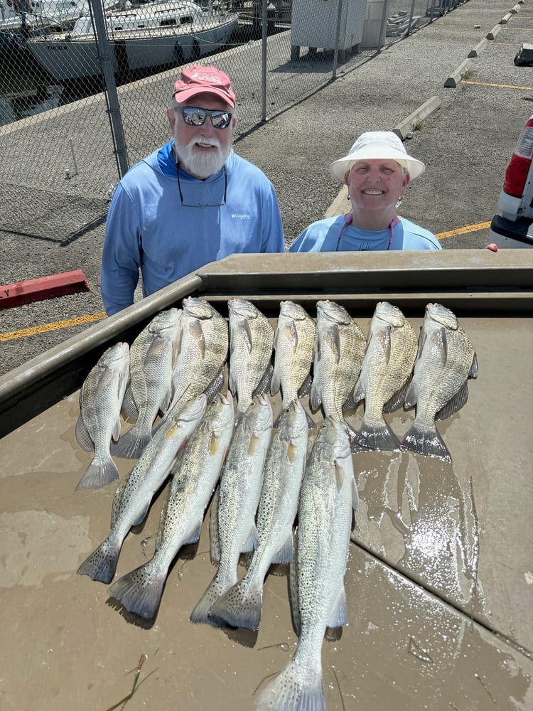 Rockport Fish Frenzy In Rockport