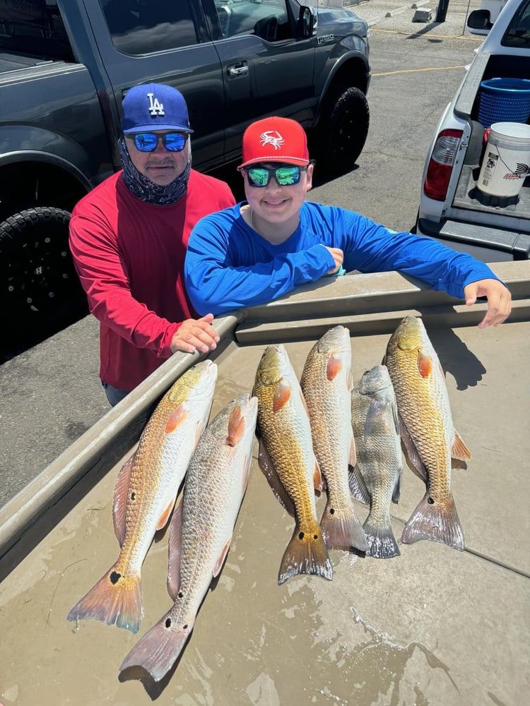 Rockport Fish Frenzy In Rockport