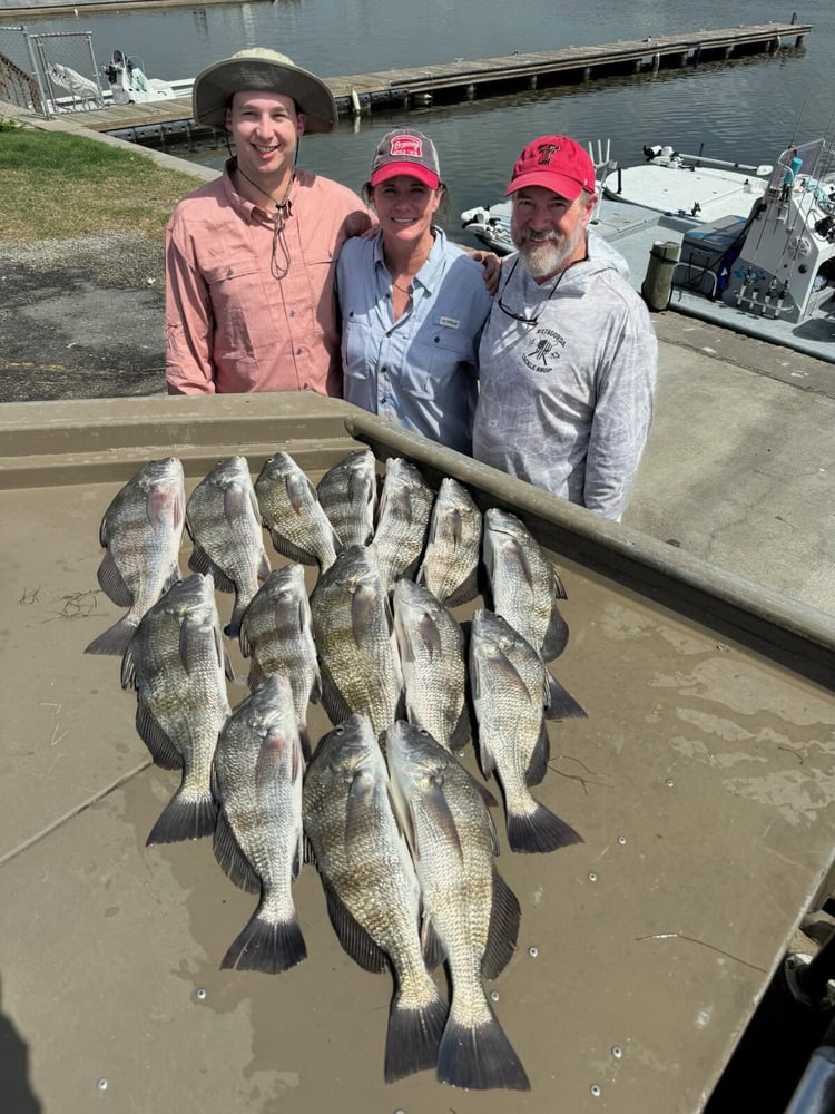 Rockport Fish Frenzy In Rockport