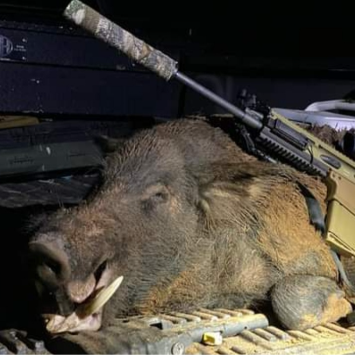 Texas Hog Hunting Adventure!!! In Nocona