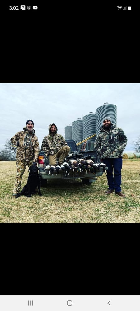 Texas Duck Destruction In Bowie