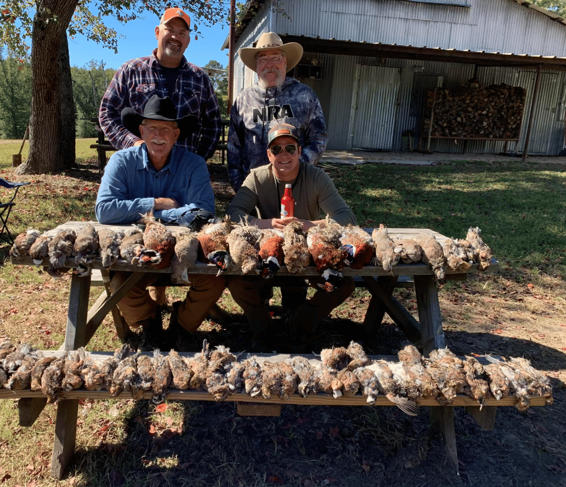 Texas Quail Thriller In Gilmer