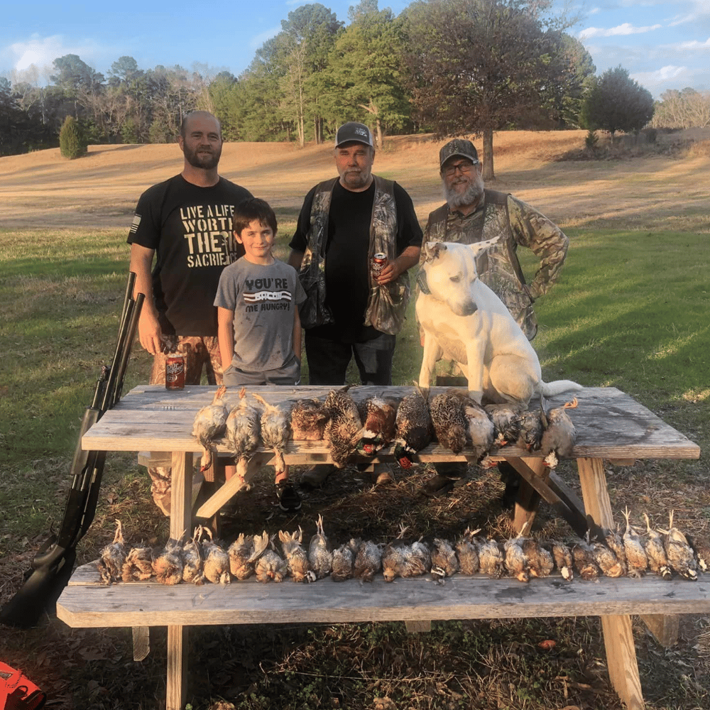 Texas Quail Thriller In Gilmer