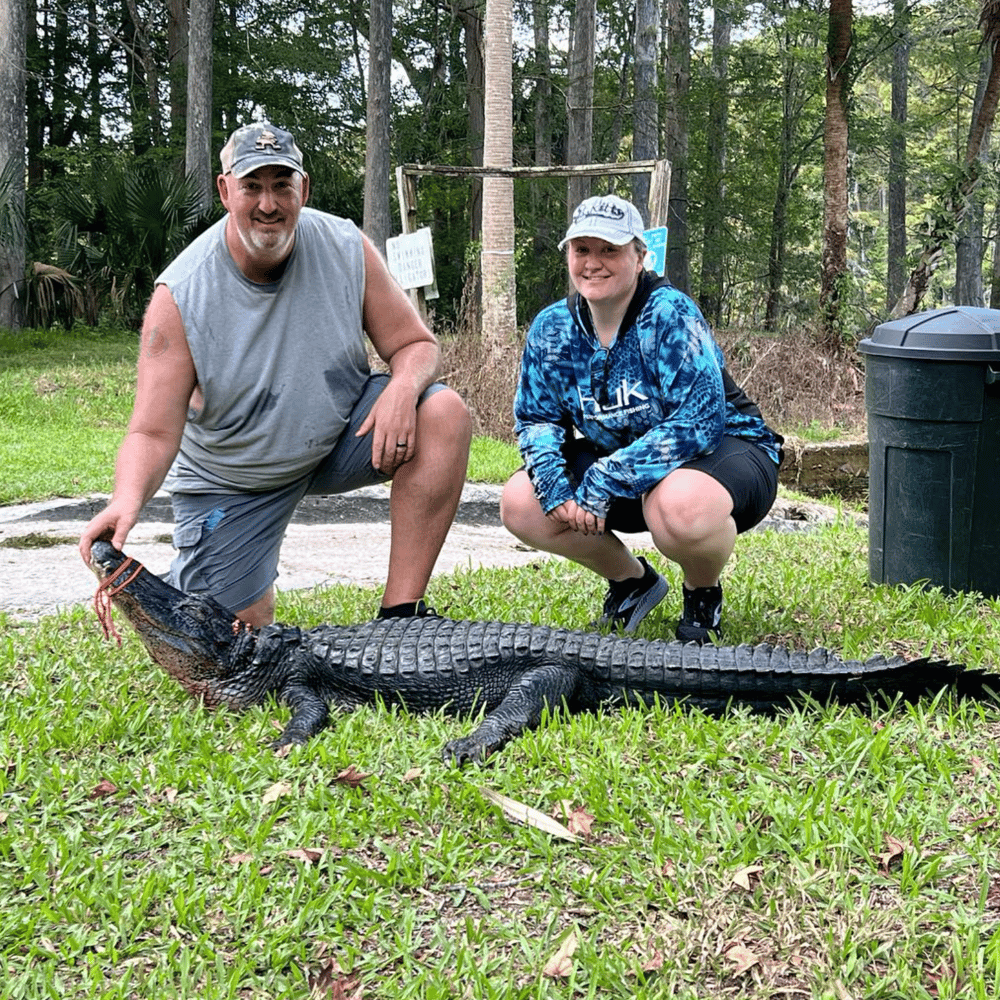 Good Ol' Gator Hunting In Crystal River