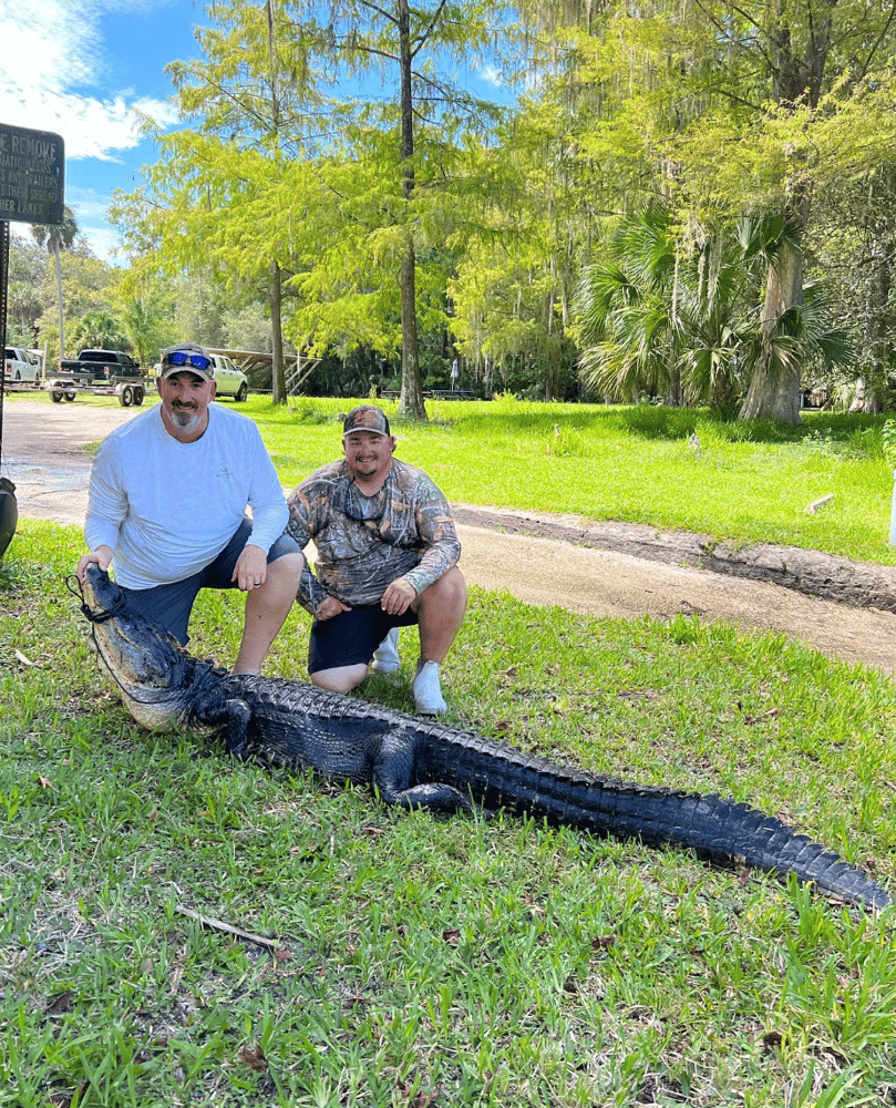 Good Ol' Gator Hunting In Crystal River