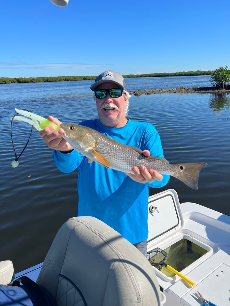 In Or Near Shore Experience In Tarpon Springs