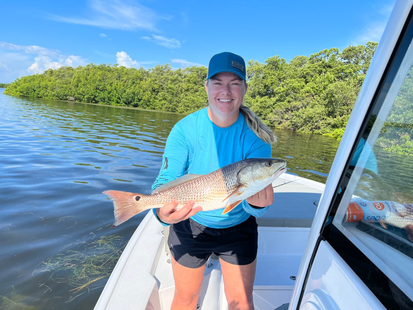 In Or Near Shore Experience In Tarpon Springs